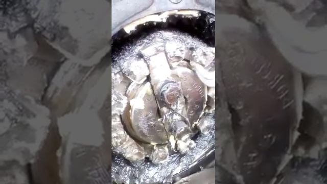 Известна корончатая гайка смотреть онлайн