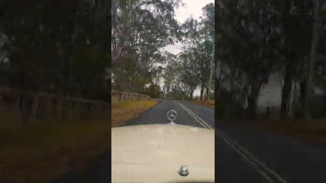 Mercedes W108 morning drive to Kurrajong NSW 24 nov 2019 смотреть онлайн