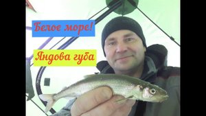 КОРЮХ!/БЕЛОЕ МОРЕ!/Яндова губа!