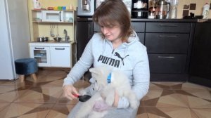 VLOG И снова к врачу