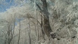 О, душа, что тебе не хватает...