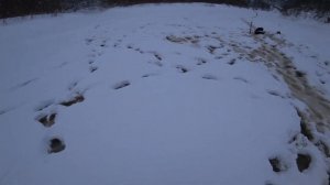 Хариус зимой. Зимняя рыбалка на хариуса. Рыбалка на донки .