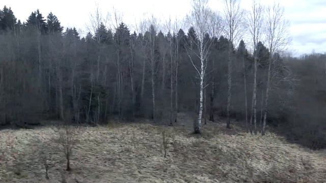 Оредеж-пл. 125 км на электричке. смотреть онлайн