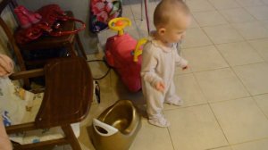 КОШКА УЧИТ РЕБЁНКА ХОДИТЬ НА ГОРШОК