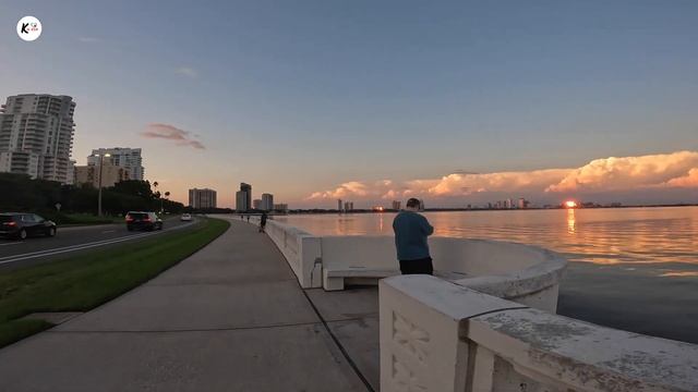 ?Что Акулы делают в Тампе??Чем занимаются Дельфины???Америка на Спорте ?GoPro Тест! смотреть онлайн