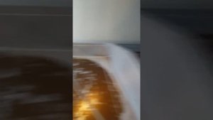Разведение креветок во Вьетнаме. Кормление цистой артемия. Командировка ООО"НЭКА".