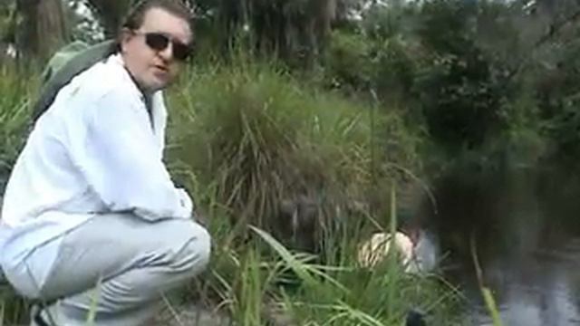 GOLD RUSH - ЗОЛОТАЯ ЛИХОРАДКА Pilots Life in Africa