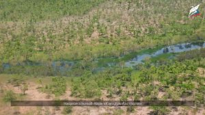 Особенности природы Австралии и Океании.Население Австралии и Океании.