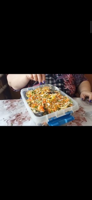 КВАШЕНЫЕ БАКЛАЖАНЫ. Фаршированные капустой и морковью. ???