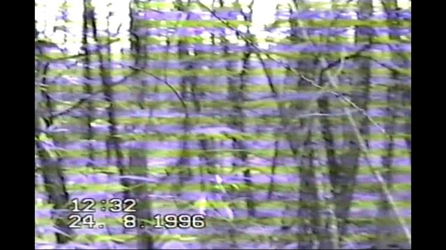 Грибы С Агеевыми 1996
