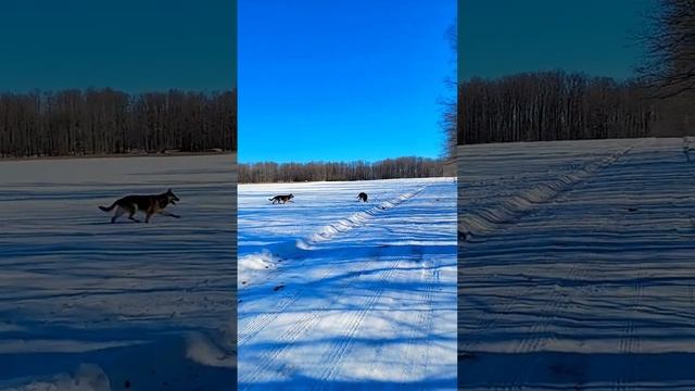 ? СКАЗАЛИ ПОКИНУТЬ СТРАНУ / ЧТО ДЕЛАТЬ ???