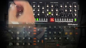 Roland SE-02 vs Behringer Poly D - NO TALKING - When Poly Met SE