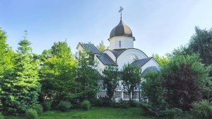 Вера с горчичное зерно