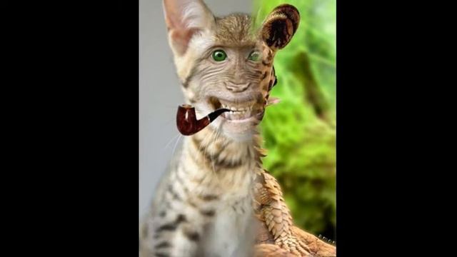 Необычные животные
