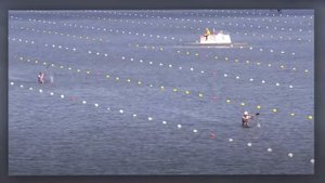 Чемпионат по гребле на байдарках и каное среди ветеранов