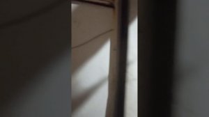 Колеса на газ 66 , розмір 22,5