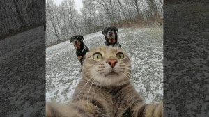 музыка для флешмоба_без мата.mp4