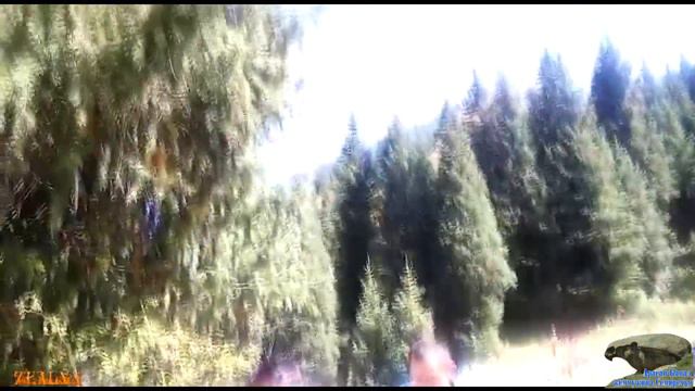Алтай өлеңдері. "Өкініш".