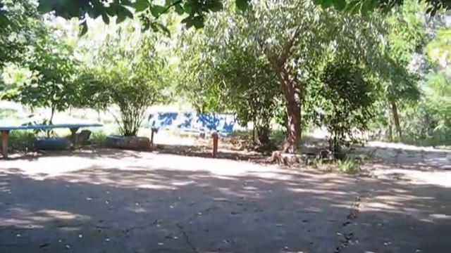 Мариуполь проспект Металлургов 88 / по просьбе Надежды из Череповца )) смотреть онлайн