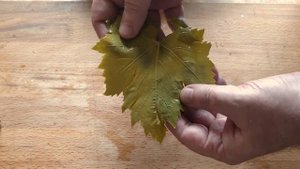 Армянская Толма или Долма по-армянски / Armenian Dolma