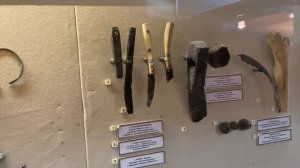 САМЫЕ ЦЕННЫЕ НАХОДКИ ВОРОНЕЖСКОЙ ОБЛАСТИ