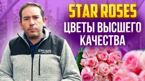 Лучшие цветы в Эквадоре. Обзор плантации Star Roses | Цветы оптом