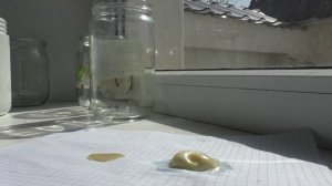 Полиуретановый клей, тест с водой и без