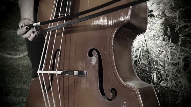 Ведьма Мельница cover by BassoSoprano!