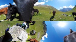 ЛОШАДИ КАВКАЗА | 360 [4K]