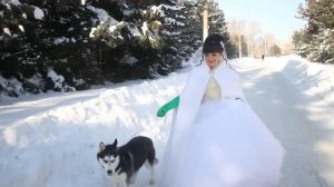 Клип Света