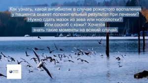какой антибиотик в случае рожистого воспаления у пациента окажет положительный результат при лечени