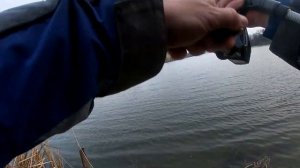 Жор Судака Весной. Снасть грушка , блесна пуля.