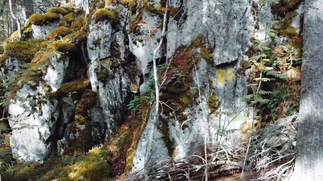 Карелия, Ладожские шхеры. Съемка с квадрокоптера. DJI Mavic Mini, cinematic video. смотреть онлайн