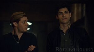 Малек || Магнус и Алек || Свадебный фотограф || Magnus & Alec