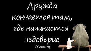 Настоящая дружба. Высказывания о дружбе и друзьях