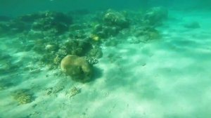 Египет, Эль-Гуна, Panorama Bungalows Resort El Gouna, 2015. GoPro.