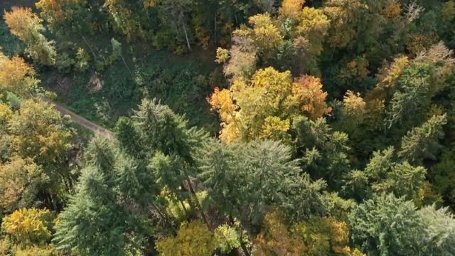 Свёкор творил такое... Любовные Истории из Жизни Аудиорассказ
