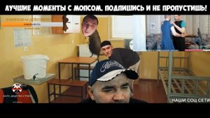 СТРИМ МОПС | МОПС СТРИМ | АНДРЕЙ ЩАДИЛО И ПЕТУХИ
