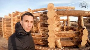 Сруб бани 6х9 из толстого бревна. Видеообзор