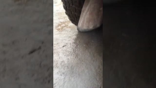 змз 409 троит на ХХ, на прогретом смотреть онлайн