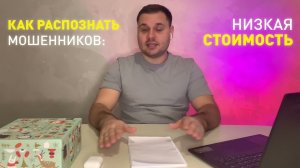 Осторожно мошенники! Как не нарваться на развод в тюльпанном бизнесе