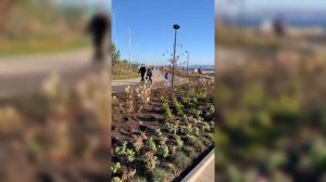 Новая набережная в Тольятти, почти достроили! 😍👍🏻