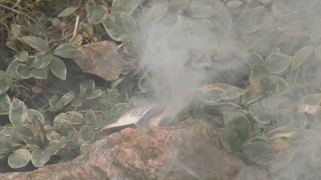 10 ЛАЙФХАКОВ ОТ СКУКИ смотреть онлайн