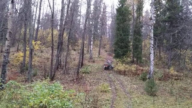 Квадроцикл Днепр покатушки смотреть онлайн