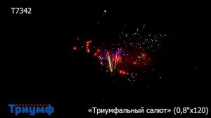 Батарея Салютов "Триумфальный Салют"(0, 8 дюйма×120 залпов)