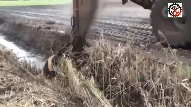 Современная сельхозтехника  НОВОГО поколения