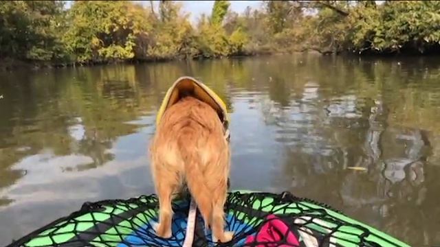 Penny Kayaking on Darby Creek with the Intex Challenger K1 Kayak смотреть онлайн