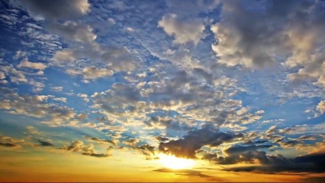 Просыпайся! смотреть онлайн