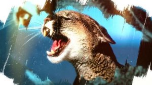 ПУМА - ДИКАЯ КОШКА. ИНТЕРЕСНЫЕ ФАКТЫ О ПУМАХ