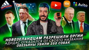 Новозеландцам разрешили оргии / Адидас отказался от своего названия / Обезьяны убили 250 собак